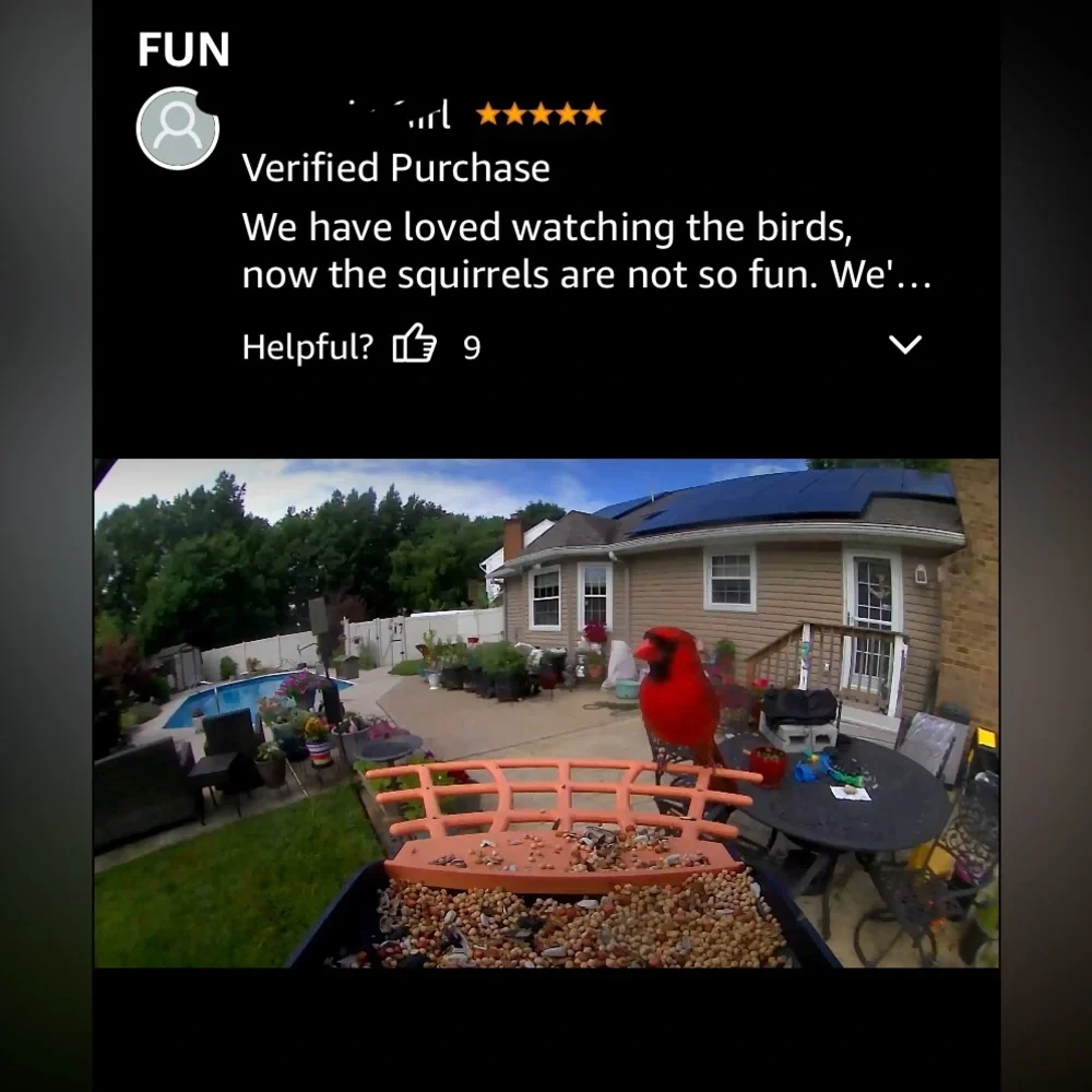 Birdkiss Smart Bird Feeder - NIB